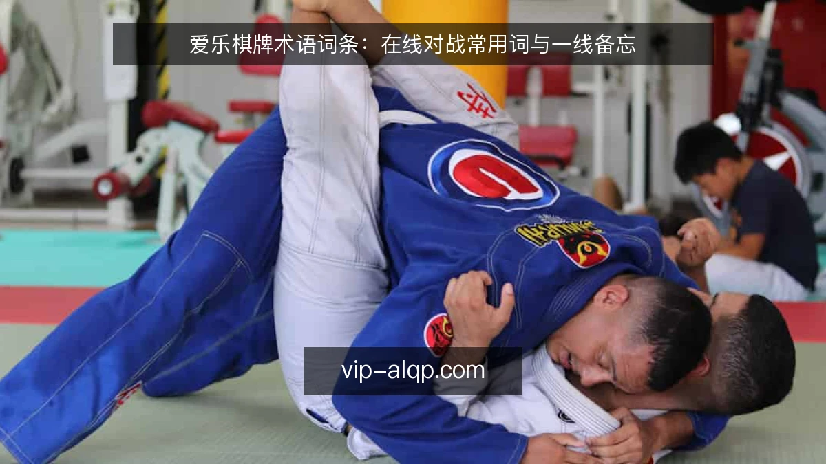 爱乐棋牌术语词条:在线对战常用词与一线备忘