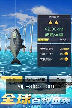 离线必备缓存