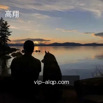 高翔